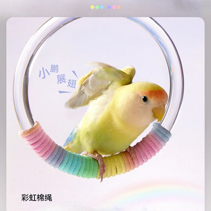 Tafit Crystal Rainbow Parrot Swing