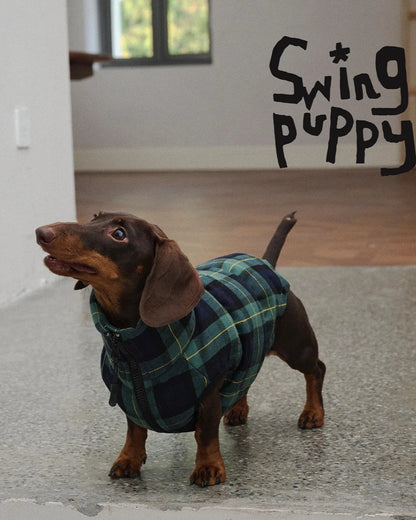 Green Plaid Dog Down Coat