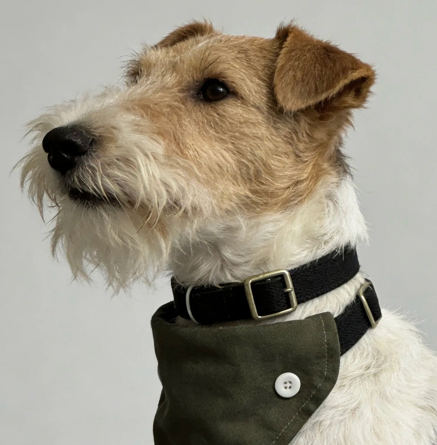 Detachable Four-Way Dog Bandana Collar