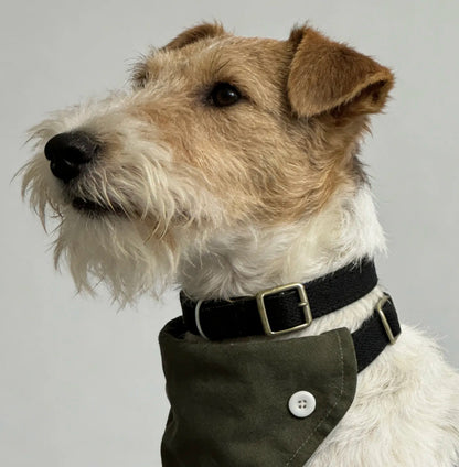 Detachable Four-Way Dog Bandana Collar