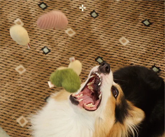 Heart Puff Cat Fetch Toy