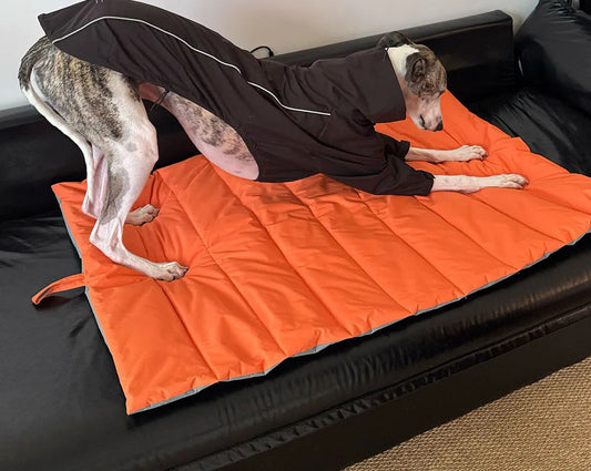 Waterproof Scratch-Resistant Foldable Dog Travel Mat