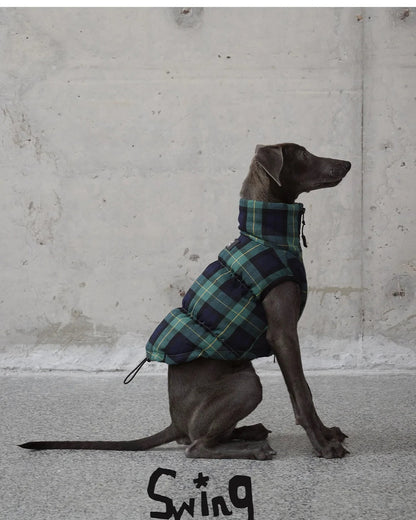 Green Plaid Dog Down Coat