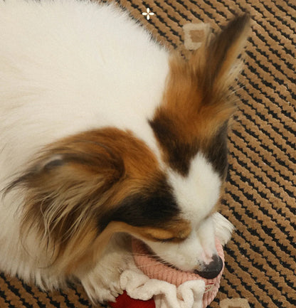 Cake Roll Pet Snuffle Toy