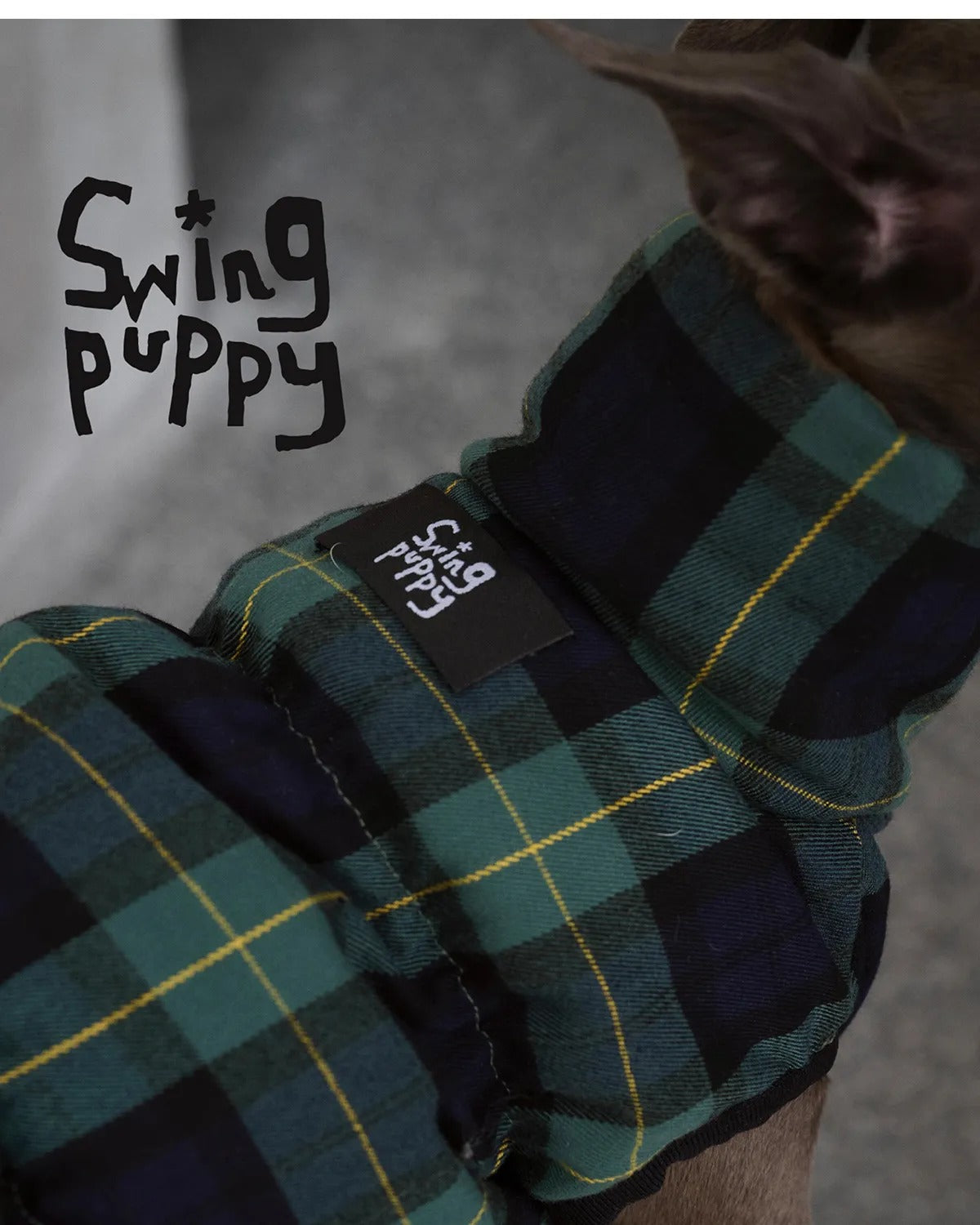 Green Plaid Dog Down Coat