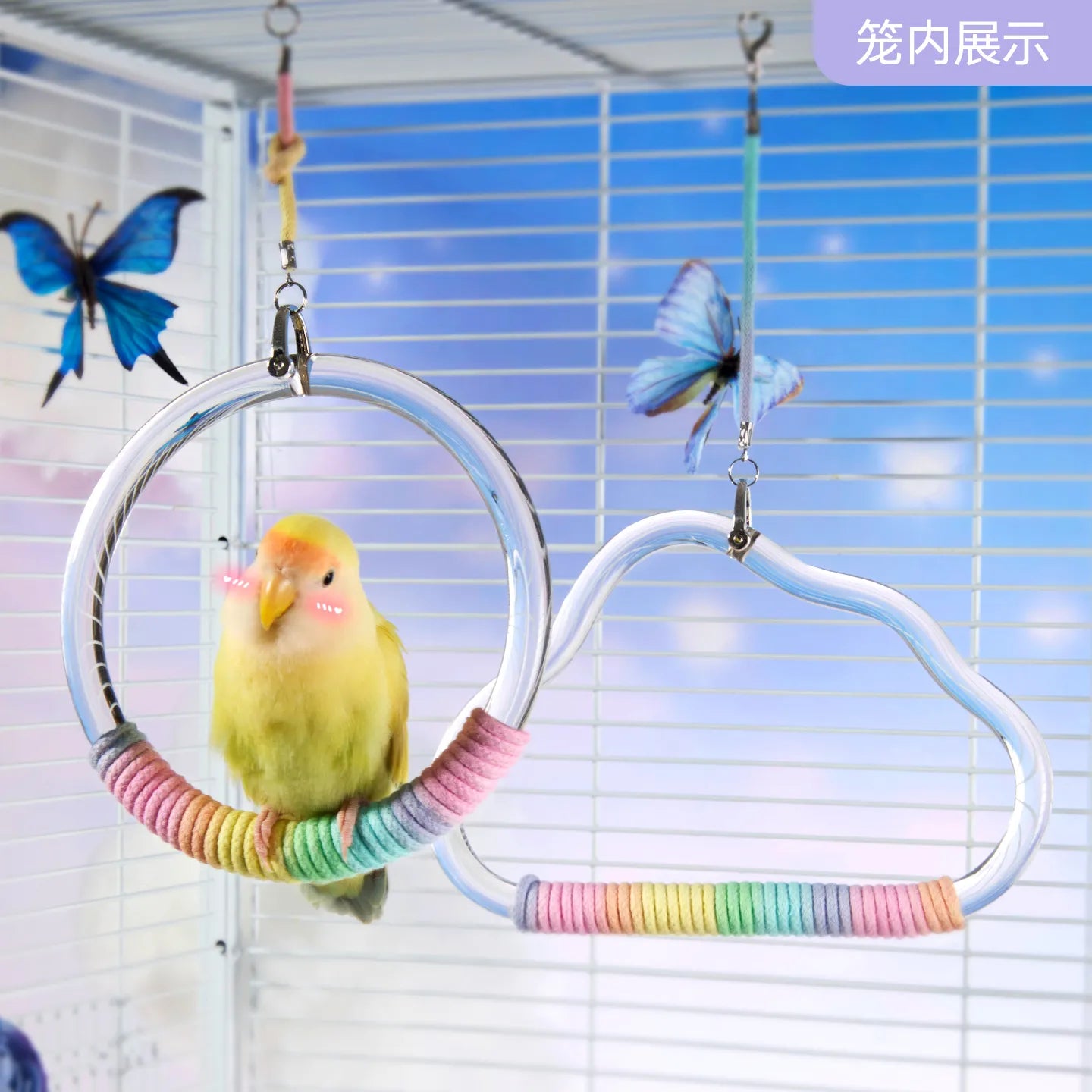 Tafit Crystal Rainbow Parrot Swing