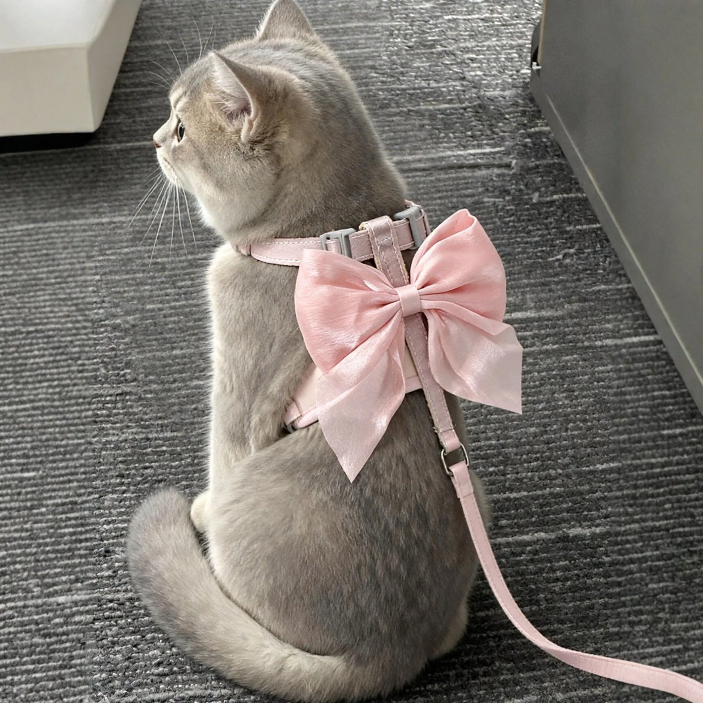 Bow Y-Shape Escape-Proof Harness