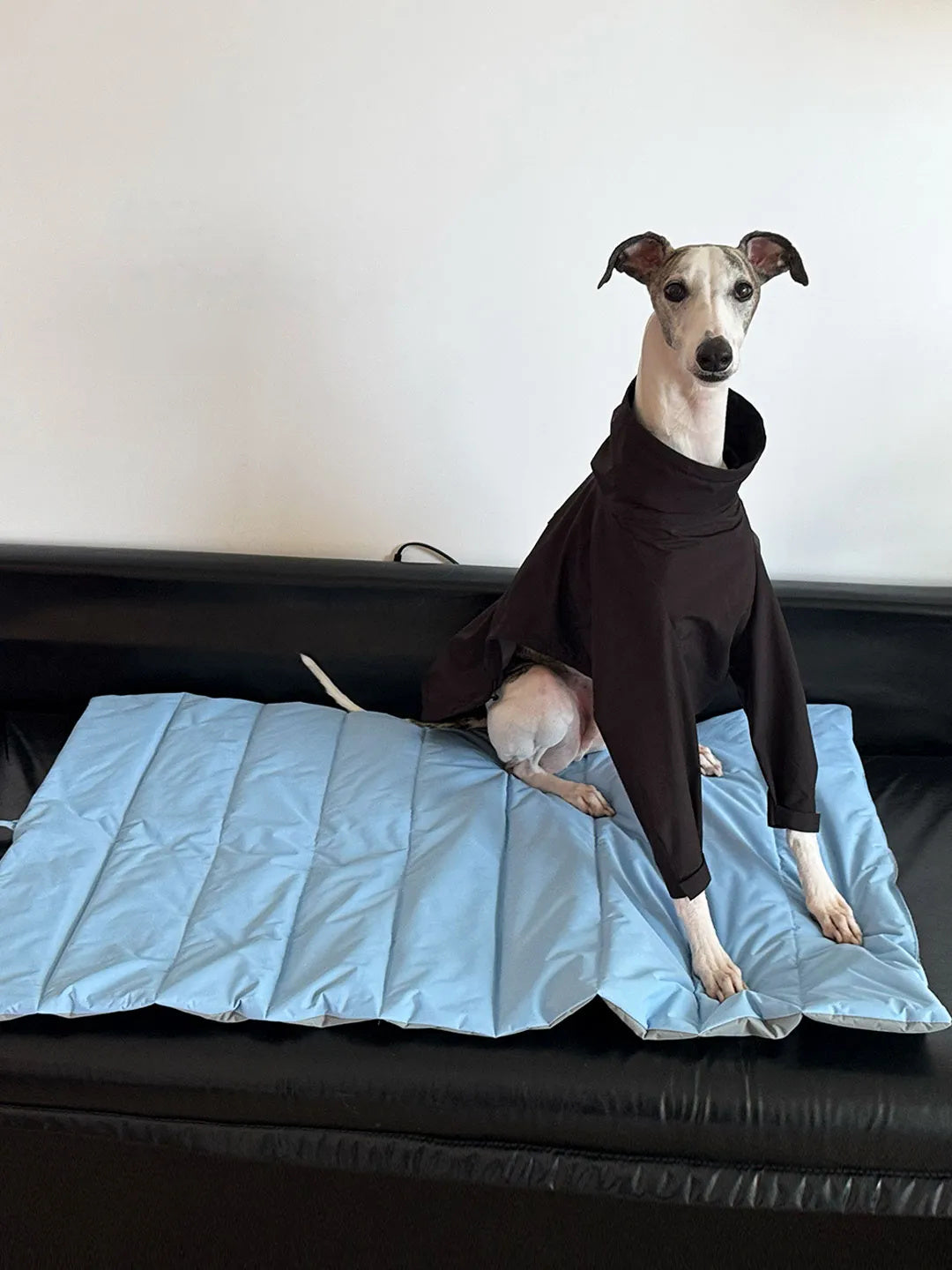 Waterproof Scratch-Resistant Foldable Dog Travel Mat