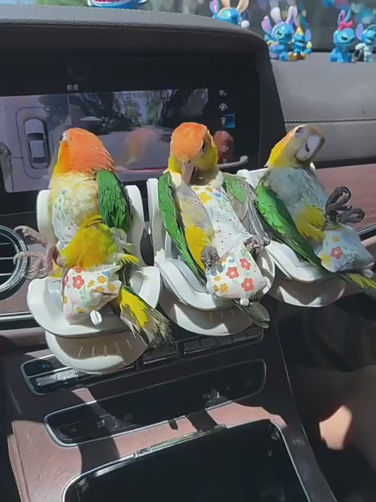 Parrot Car Seat Travel Perch