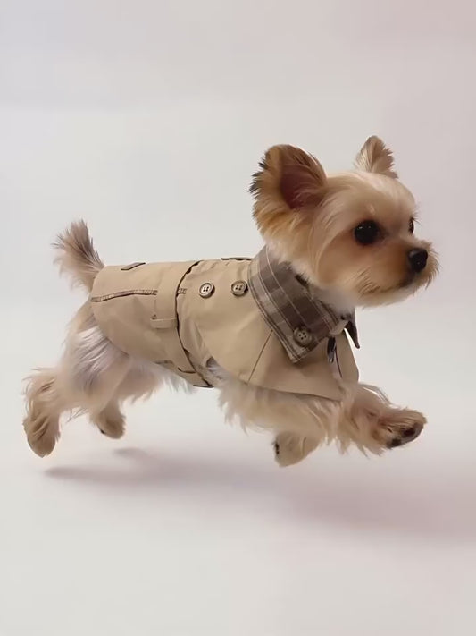 British Style Contrast Collar Pet Coat