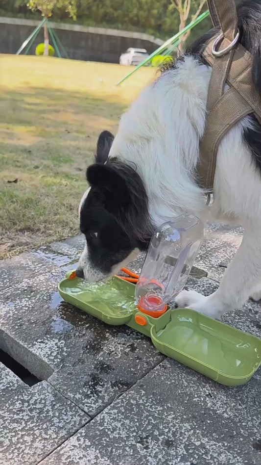 2-in-1 Foldable Pet Water Bottle